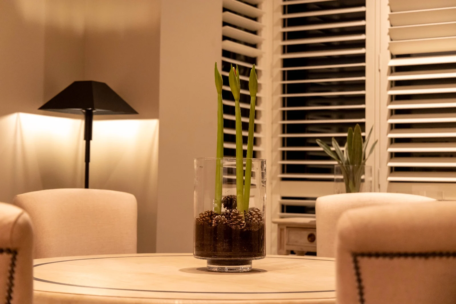 WhatsApp Image 2024-12-03 at 10.20.59 (8)